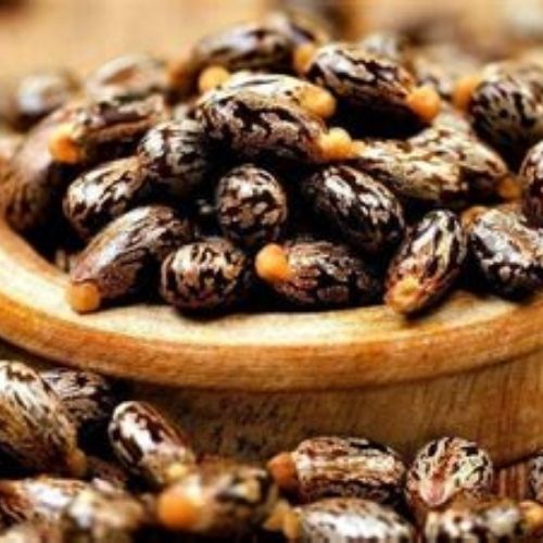 Castor Oil - Refined Cold Pressed.