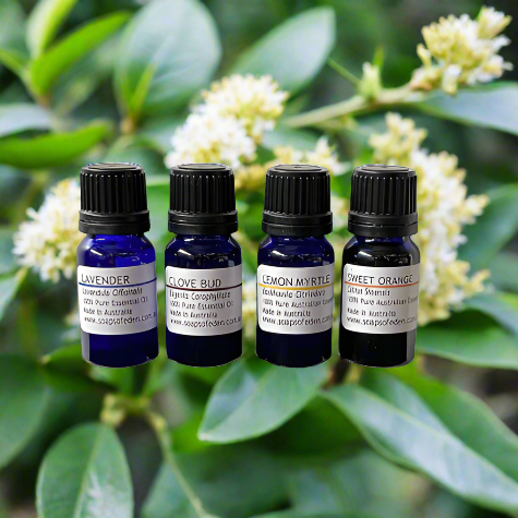 Australian Lemon Myrtle Essential Oil