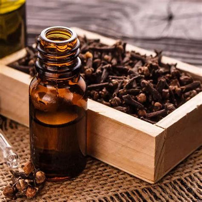 Clove Bud Essential Oil