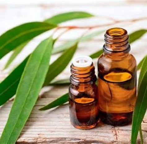 Australian Eucalyptus Essential Oil