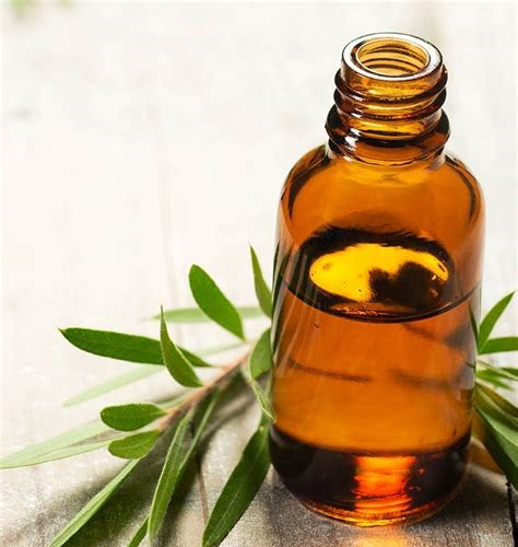 Australian Tea Tree Essential Oil